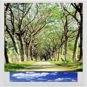 Tree Lined Path Digitally Printed Photo Roller Blind