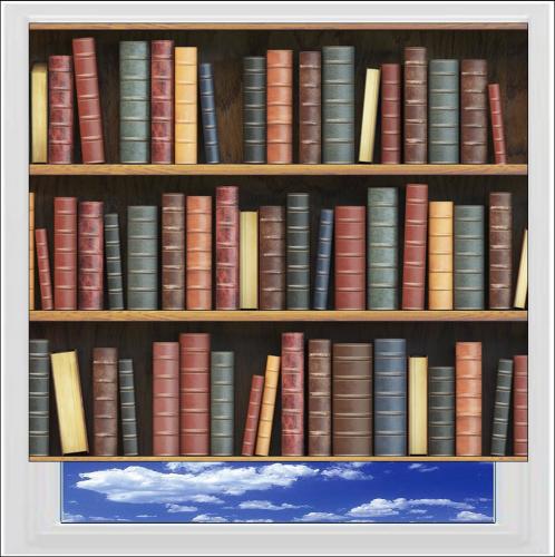 Vintage Bookcase Digitally Printed Photo Roller Blind