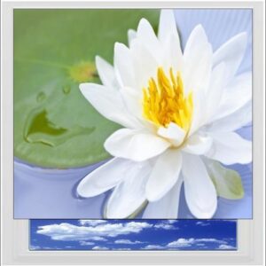 Water Lily Digitally Printed Photo Roller Blind