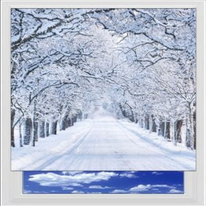 Winter Landscape Digitally Printed Photo Roller Blind
