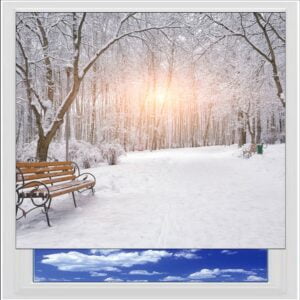 Winter Park Digitally Printed Photo Roller Blind