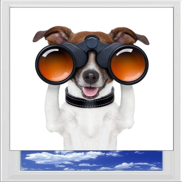 Binoculars Dog Digitally Printed Photo Roller Blind