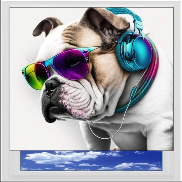 Cool Bulldog Digitally Printed Photo Roller Blind
