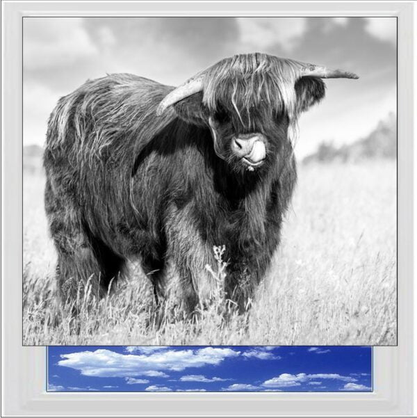 Highland Cow BW Digitally Printed Photo Roller Blind