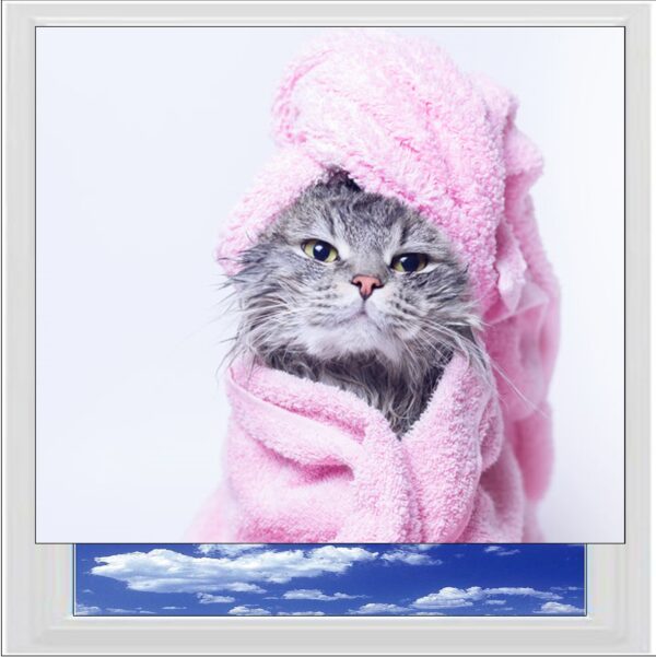 Kitten Bathtime Digitally Printed Photo Roller Blind